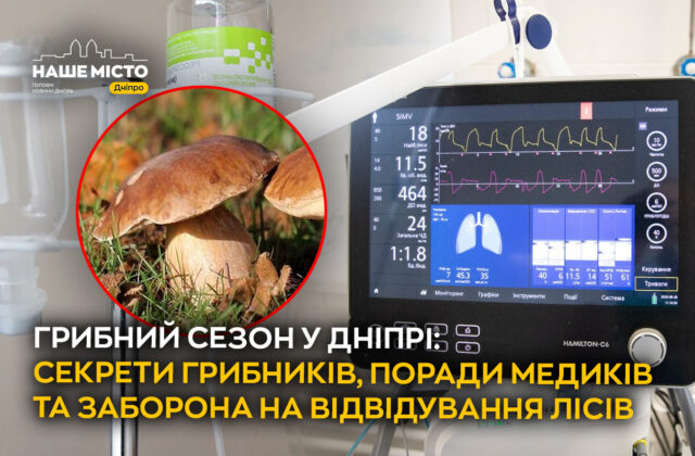 Грибний сезон 2026 року у Дніпрі – Наше Місто